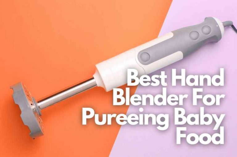 Best Hand Blender for Pureeing Baby Food (2023)