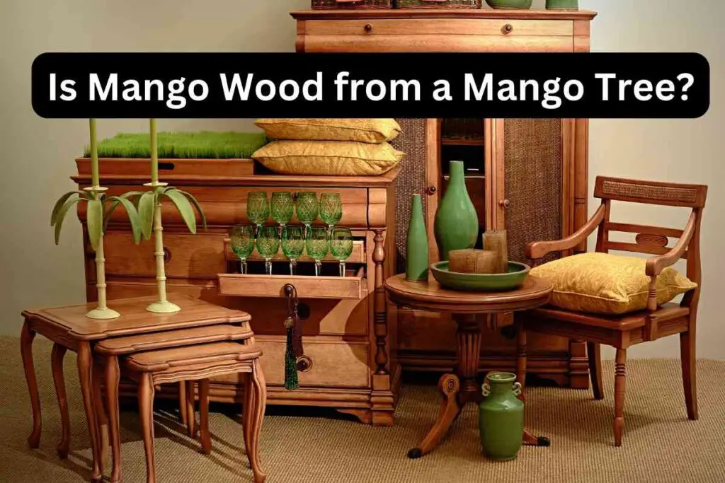 Is Mango Wood from a Mango Tree