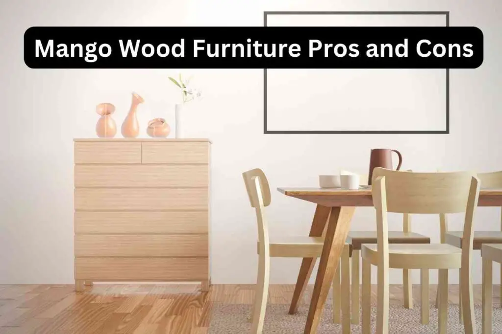 Mango Wood Furniture Pros and Cons